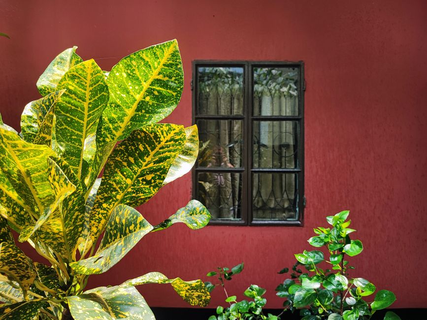 Painted door and trim on a house